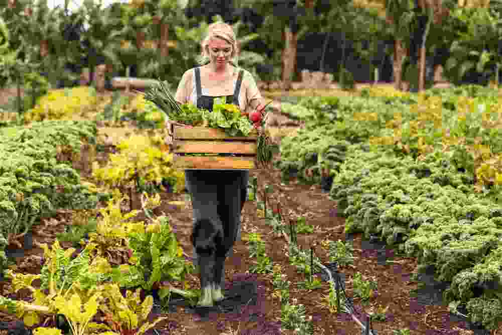 Horti TJ