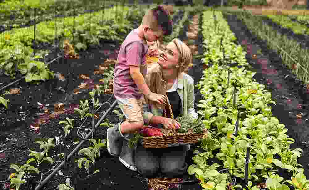 Horti TJ